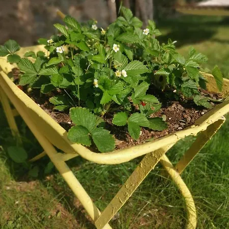 La Casetta Nel Borgo Nascosto - House With Private Garden *